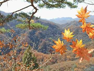 澳門六開彩網(wǎng)站開獎結果