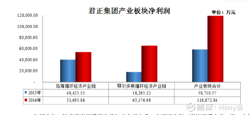 君正集團(tuán)最新消息綜述，君正集團(tuán)最新消息綜述，動(dòng)態(tài)與發(fā)展概覽