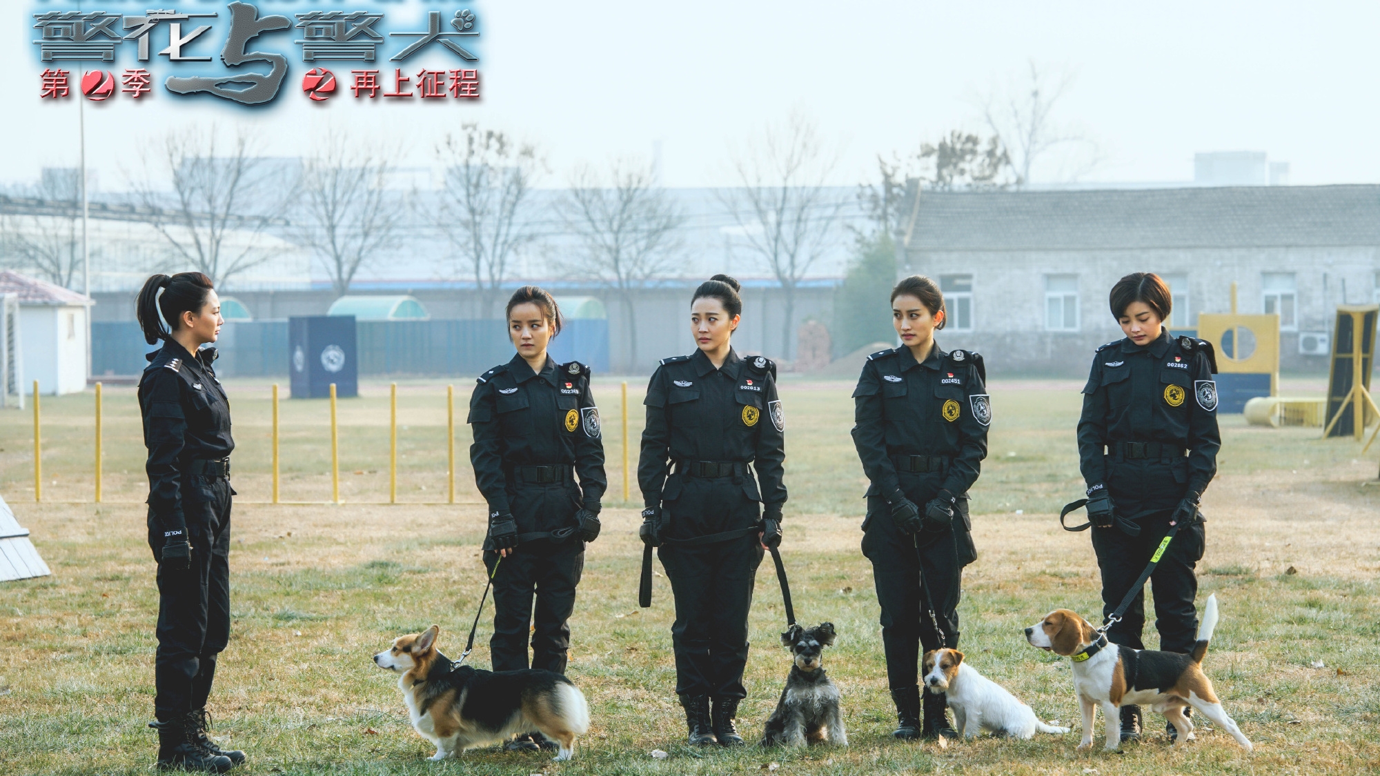 警花與警犬2最新消息揭秘，警花與警犬2最新動態(tài)揭秘