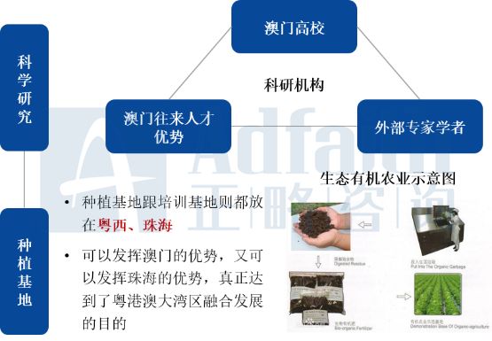 2024新澳門資料免費(fèi)長(zhǎng)期公開：全面解讀澳門發(fā)展新趨勢(shì)