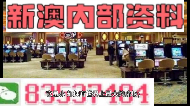 2024澳門精準(zhǔn)正版免費大全：權(quán)威解讀與實用建議