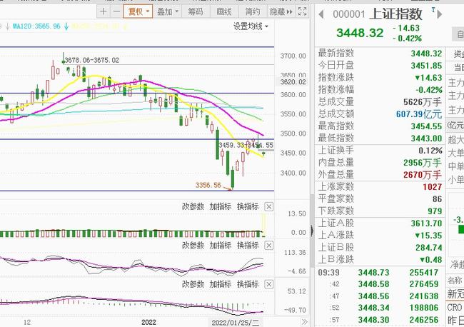 二四六天天好944cc彩資料全 免費一二四天彩,市場趨勢方案實施_專家版66.299