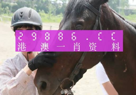 澳門精準(zhǔn)一肖一碼一一中：如何提高中獎(jiǎng)率