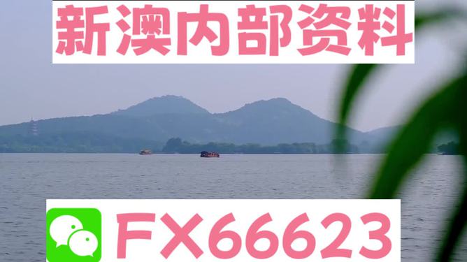 新澳2024正版資料免費(fèi)公開，探索與啟示，新澳2024正版資料探索與啟示，免費(fèi)公開內(nèi)容揭秘