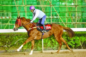 警惕虛假博彩信息，切勿參與非法賭博活動——以2024澳門特馬今晚開獎116期為例，警惕虛假博彩信息，以澳門特馬開獎為例，參與非法賭博活動屬違法犯罪行為