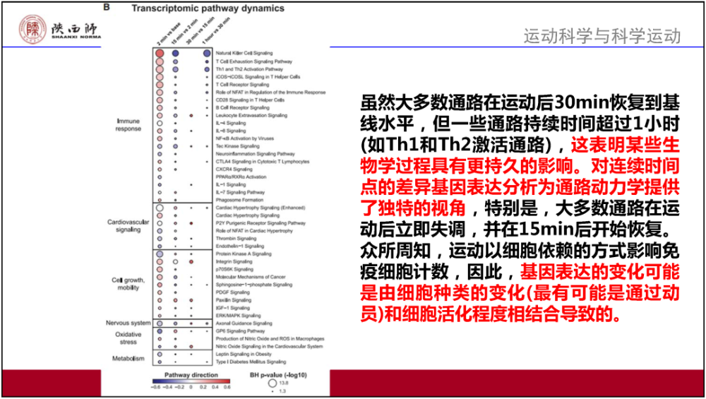 2024澳門免費資料,正版資料,現(xiàn)狀解答解釋定義_尊享款18.894