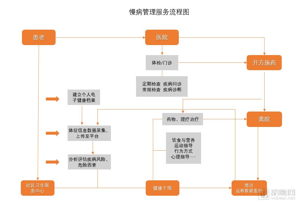 精準(zhǔn)四肖三肖必中,決策信息解析說明_MT13.956