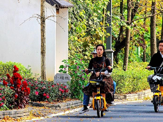 長興公交車路線最新動態(tài)與改進，長興公交車路線最新動態(tài)及改進概覽