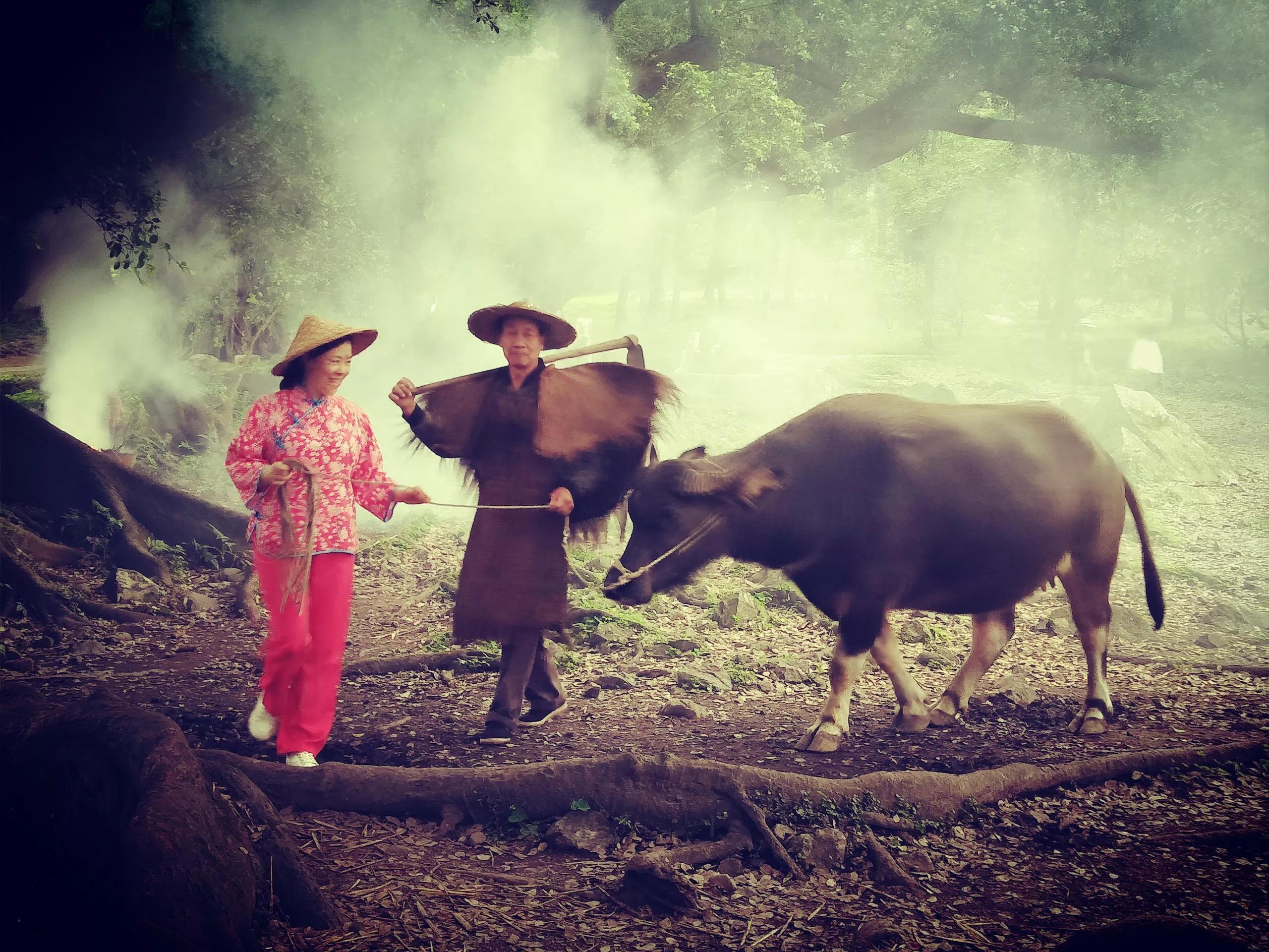 霞浦臺風(fēng)最新消息及其影響分析，霞浦臺風(fēng)最新動態(tài)及影響分析