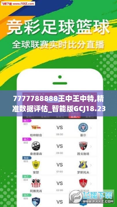 7777788888王中王中王特色功能,精細(xì)策略分析_黃金版74.428