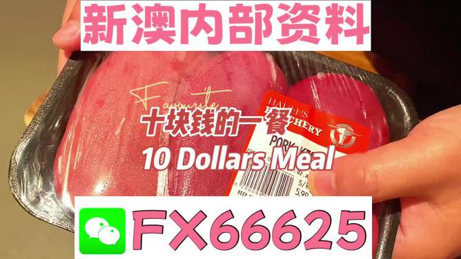 關于新澳正版資料免費大全的探討——一個關于違法犯罪問題的探討，新澳正版資料免費大全背后的違法犯罪問題探討