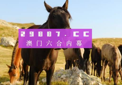 澳門管家婆免費資料查詢——探索2024年全新數(shù)據(jù)與策略，澳門管家婆免費資料查詢，探索全新數(shù)據(jù)與策略，預測未來趨勢（2024年）