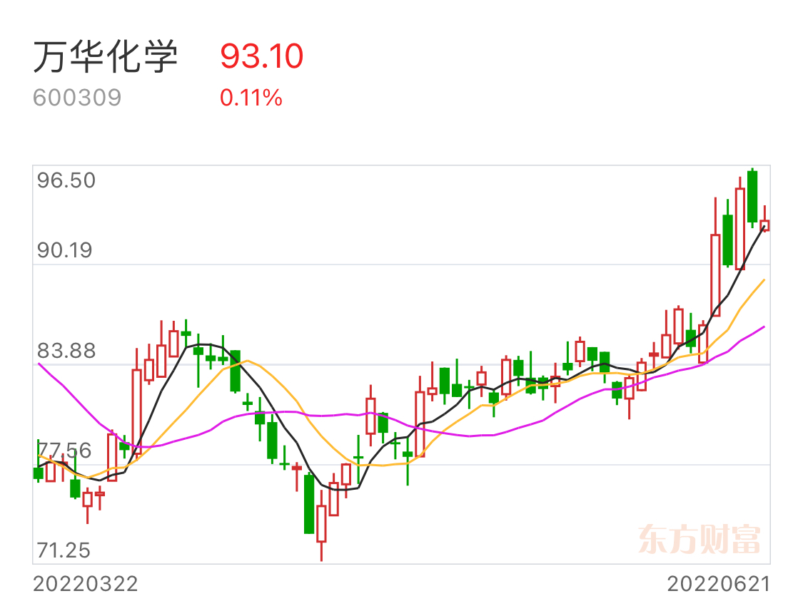 張雪峰視角下的萬華化學(xué)，深度解析與前瞻評價，張雪峰視角下的萬華化學(xué)，深度解析與未來前瞻評價