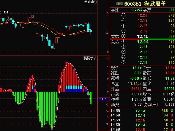 海欣股份借殼，企業(yè)擴(kuò)張的新路徑探索，海欣股份借殼，企業(yè)擴(kuò)張新路徑探索