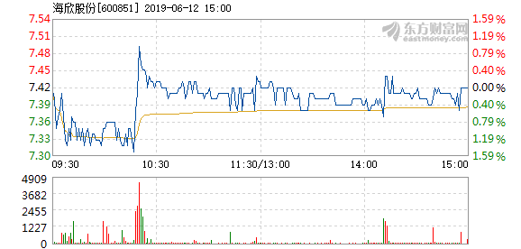 海欣股份目標價30元的投資邏輯與市場展望，海欣股份目標價30元，投資邏輯與市場展望分析