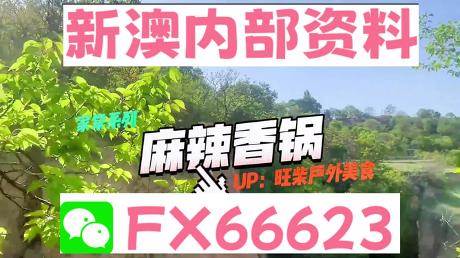 新澳2024年精準(zhǔn)資料，未來(lái)趨勢(shì)與發(fā)展展望，新澳2024年發(fā)展趨勢(shì)展望與未來(lái)精準(zhǔn)資料分析