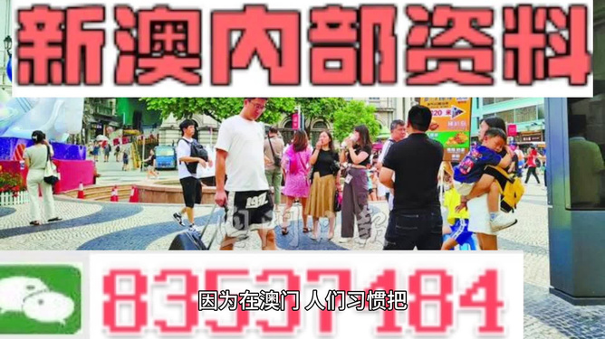 關(guān)于澳門彩票及免費全年資料的探討——警惕違法犯罪風(fēng)險，澳門彩票及免費全年資料探討，警惕違法犯罪風(fēng)險