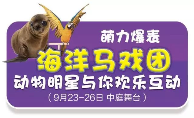 新奧門天天開獎資料大全——揭示違法犯罪背后的真相，新奧門天天開獎資料背后的犯罪真相揭秘