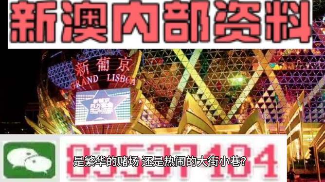 警惕新澳門精準資料大全管家婆料——揭開犯罪行為的真相，警惕新澳門精準資料大全，揭開犯罪真相的管家婆料揭秘