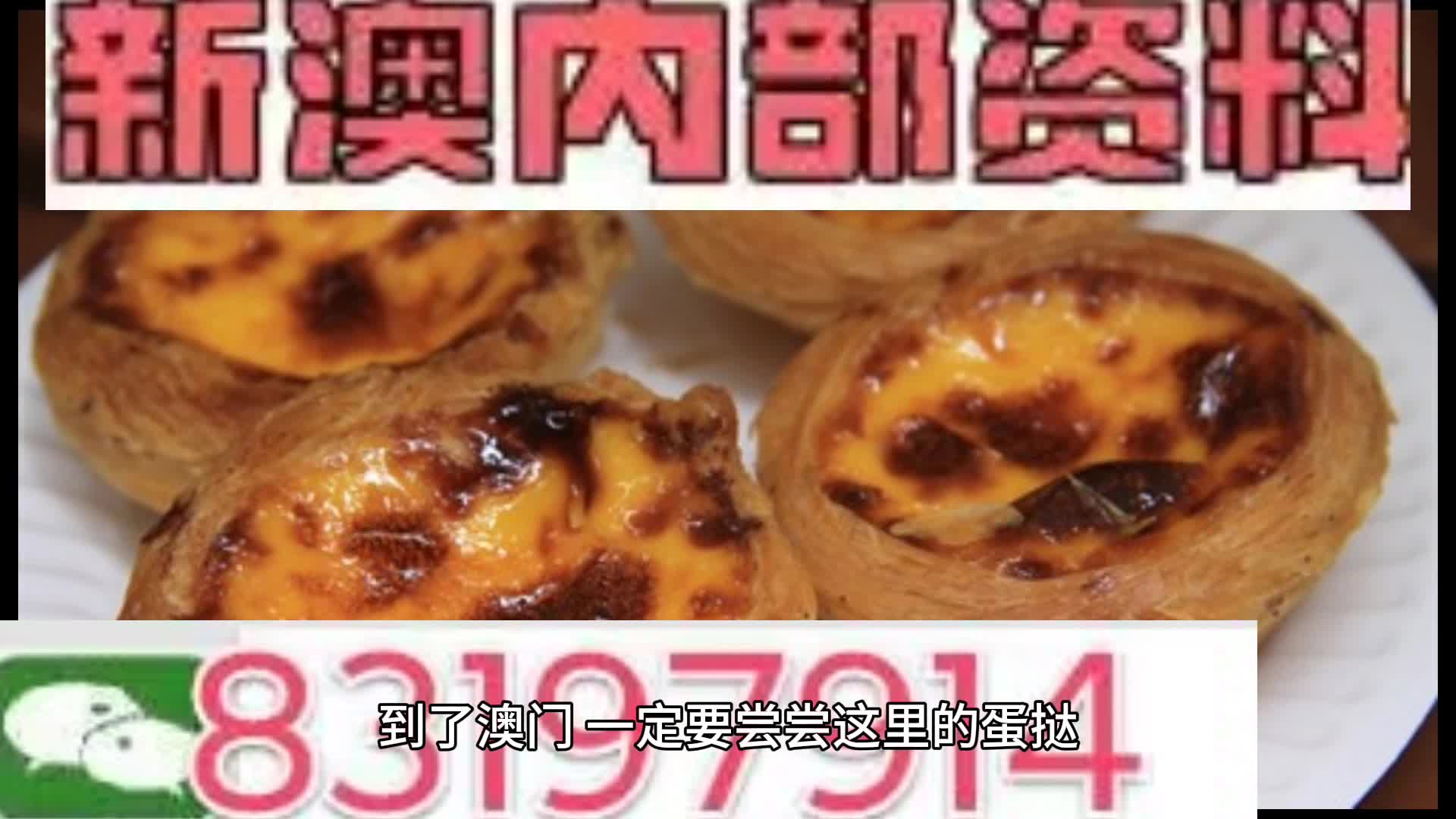 探索未來，2024年新奧梅特免費資料大全，探索未來，2024年新奧梅特免費資料大全全解析