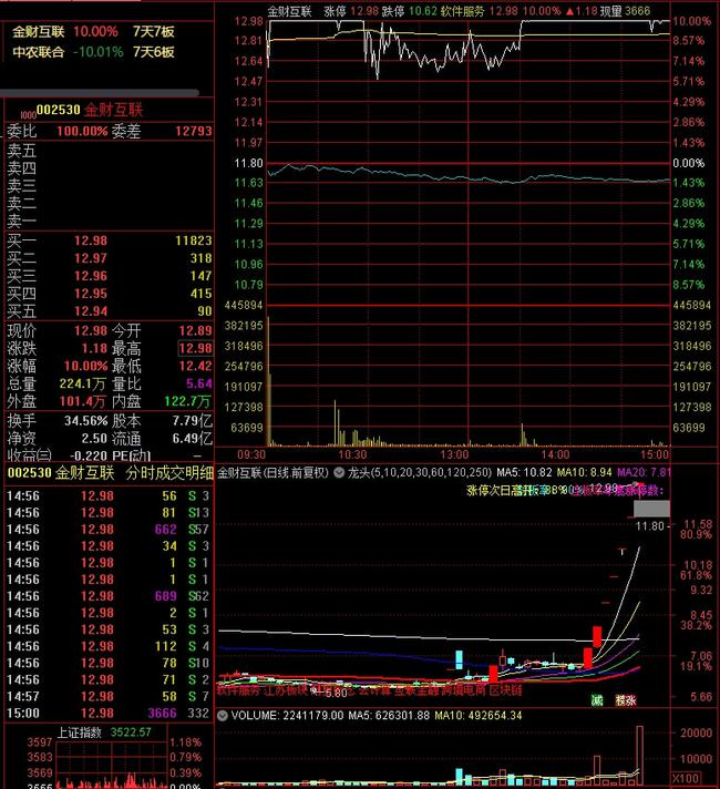 金財(cái)互聯(lián)漲停，股市新勢(shì)力的崛起與挑戰(zhàn)，金財(cái)互聯(lián)漲停，股市新勢(shì)力的崛起與應(yīng)對(duì)挑戰(zhàn)