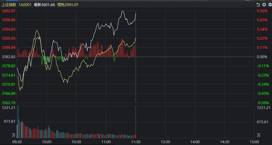 浙大網(wǎng)新股價下跌5.01%，深度分析與展望，浙大網(wǎng)新股價下跌5.01%，深度分析原因及未來展望