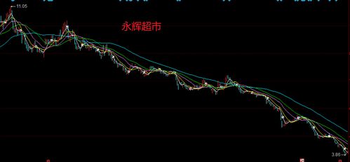 永輝超市股票未來走勢分析，永輝超市股票未來走勢展望，深度解析與預(yù)測