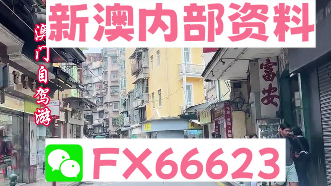 新澳精準(zhǔn)資料免費(fèi)提供353期，深度解析與前瞻性探討，新澳精準(zhǔn)資料353期深度解析與前瞻性探討，免費(fèi)提供的資料概覽