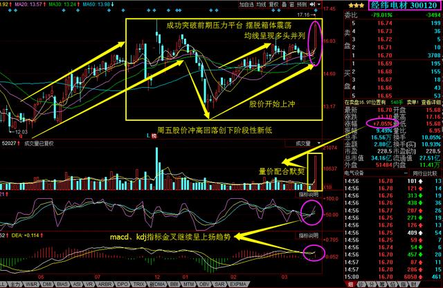 即將暴漲的黑馬股票，市場(chǎng)的新寵兒，黑馬股票新星，市場(chǎng)新寵兒即將暴漲