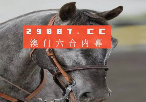 香港特馬資料王中王,決策信息解析說(shuō)明_專(zhuān)家版18.257