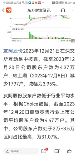 友阿股份，未來能否重返20元之巔？，友阿股份未來重返巔峰，能否重返20元之巔？