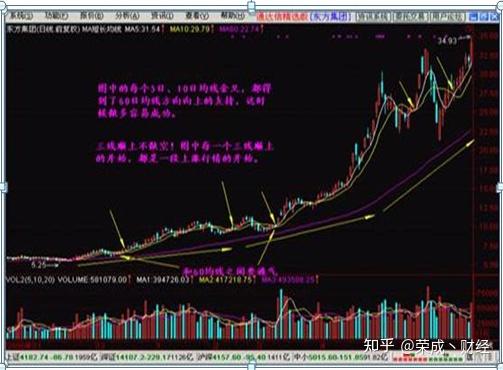 孤狼的吼聲 第2頁(yè)