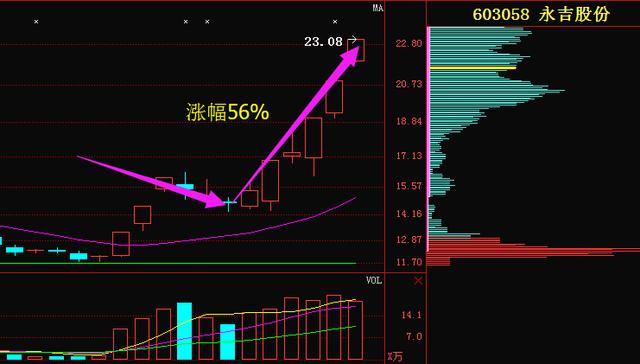 77777788888王中王中特亮點,可靠評估說明_標(biāo)配版97.631