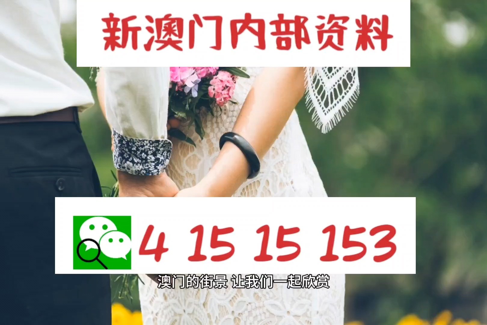 澳門正版資料免費大全新聞——揭示違法犯罪問題，澳門正版資料免費大全新聞揭秘，違法犯罪問題曝光