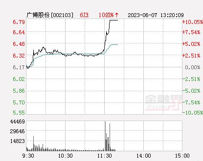 廣博股份能否重回6元，深度分析與展望，廣博股份能否重返6元，深度分析與未來展望