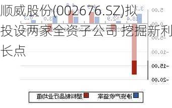 順威股份重組2024，重塑未來，展望新篇章，順威股份重組2024，重塑未來，開啟新篇章