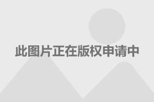 廣和通的利好消息，引領(lǐng)行業(yè)新風(fēng)向，開啟未來新篇章，廣和通利好消息引領(lǐng)行業(yè)新風(fēng)向，開啟未來新篇章大門