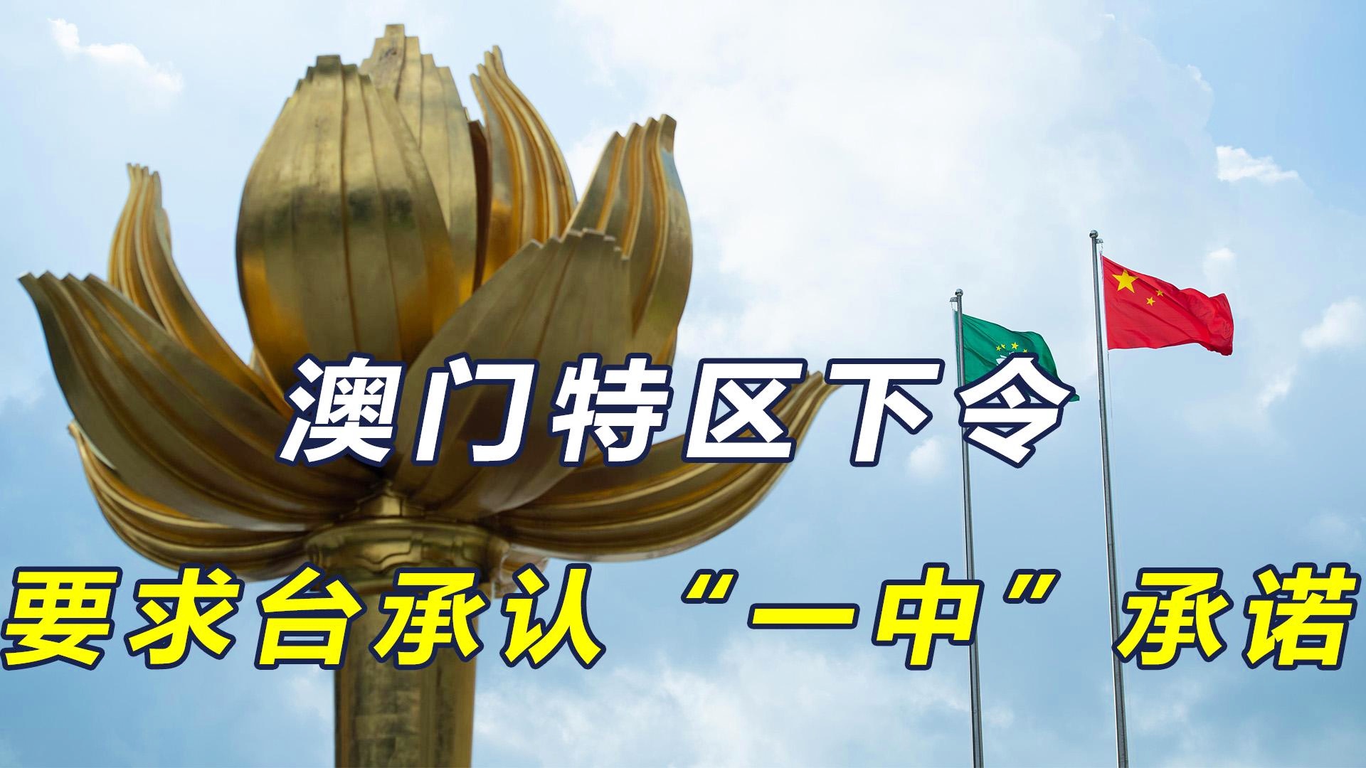 澳門一碼一肖一恃一中與犯罪問題的探討，澳門一碼一肖與犯罪問題的深度探討