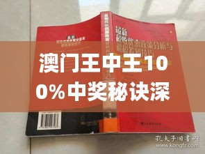 警惕虛假博彩陷阱，新澳門王中王100%期期中背后的風(fēng)險，警惕虛假博彩陷阱，新澳門王中王背后的風(fēng)險揭秘