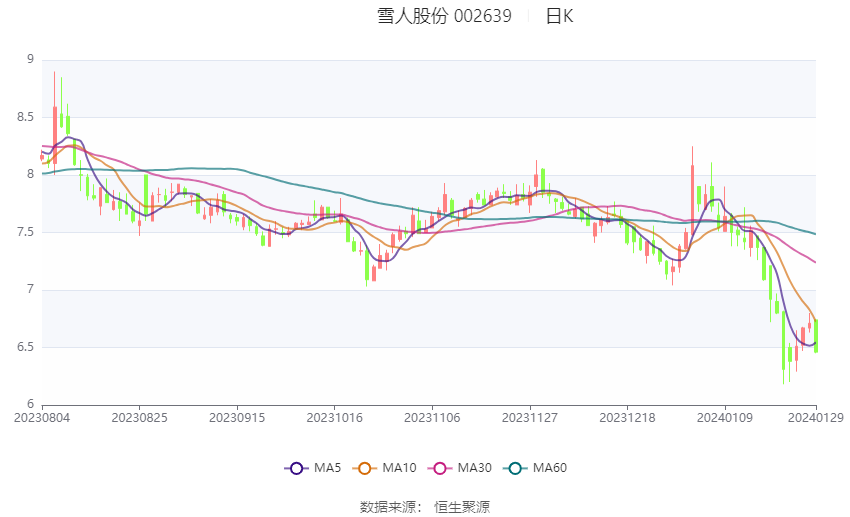 雪人股份目標(biāo)價(jià)2024年，深度分析與展望，雪人股份2024年目標(biāo)價(jià)深度分析與展望