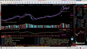 君正集團(tuán)股價(jià)下跌5.13%背后的原因及應(yīng)對策略，君正集團(tuán)股價(jià)下跌原因解析與應(yīng)對策略探討