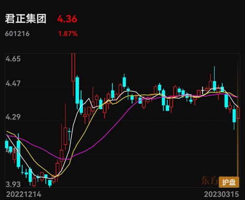 君正集團(tuán)股票能否達(dá)到8塊，分析與展望，君正集團(tuán)股票未來能否達(dá)到8元？分析與展望。