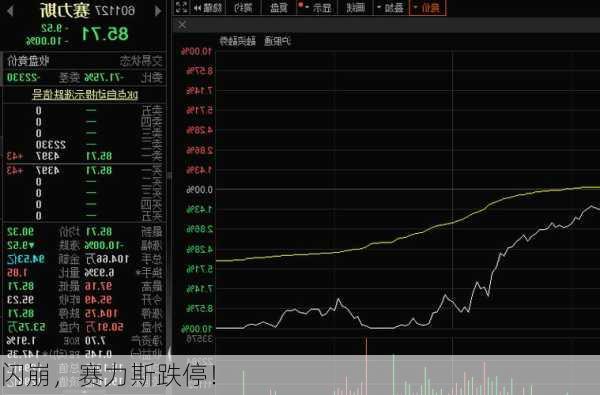 賽力斯股票暴跌原因深度解析，賽力斯股票暴跌原因深度探究