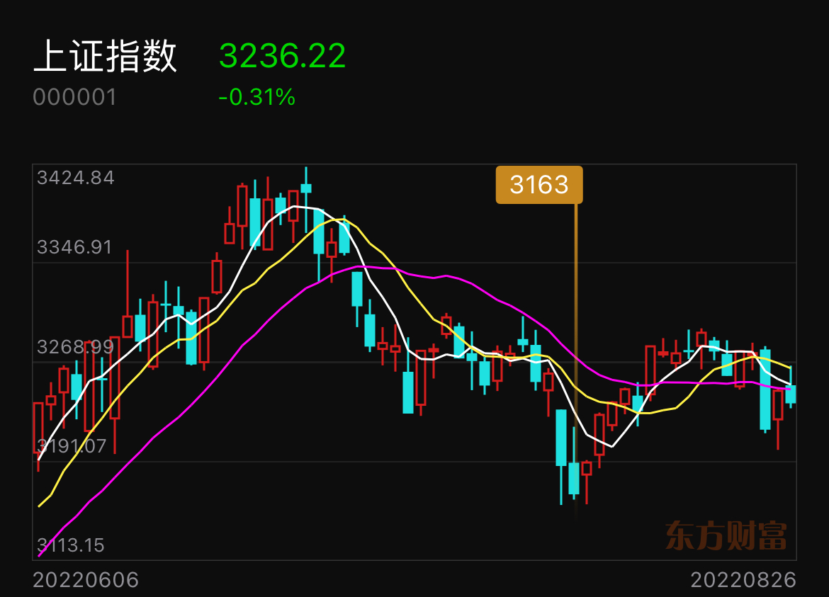 上證指數(shù)急漲急跌行情，市場波動下的投資挑戰(zhàn)與機遇，上證指數(shù)波動下的投資挑戰(zhàn)與機遇，急漲急跌行情分析