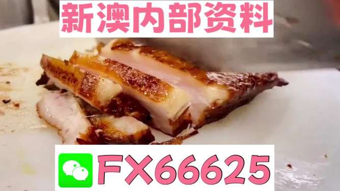 新奧長(zhǎng)期免費(fèi)資料大全，探索與啟示，新奧長(zhǎng)期免費(fèi)資料大全，深度探索與啟示