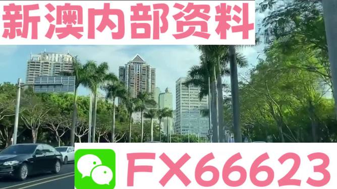 新澳最準(zhǔn)的免費(fèi)資料解析，新澳最準(zhǔn)免費(fèi)資料深度解析