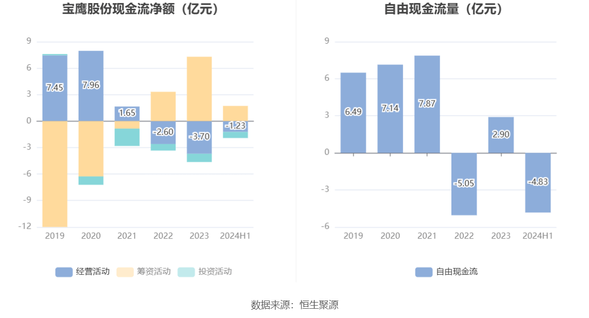 寶鷹股份上漲新篇章，探索、突破與未來的繁榮，寶鷹股份開啟上漲新篇章，探索突破，共筑未來繁榮之路