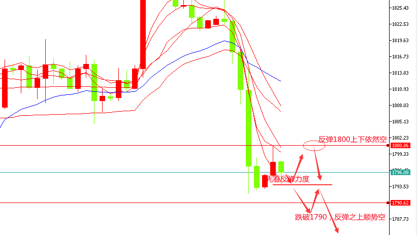 澳門天天彩期期精準(zhǔn)單雙波色,數(shù)據(jù)支持執(zhí)行策略_靜態(tài)版71.170