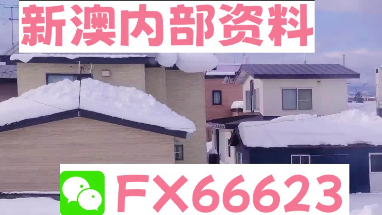 新奧天天精準(zhǔn)資料大全，深度解析與實(shí)際應(yīng)用，新奧天天精準(zhǔn)資料大全，深度解析及實(shí)際應(yīng)用指南