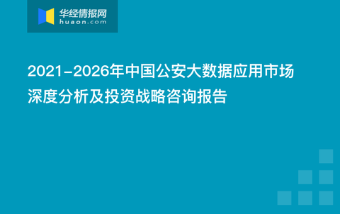 新奧管家婆資料2024年85期,全面數(shù)據(jù)策略解析_Plus98.601